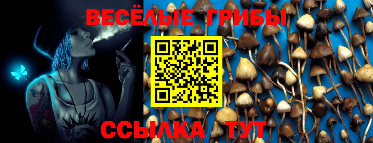 Псилоцибиновые грибы Cubensis Коломна